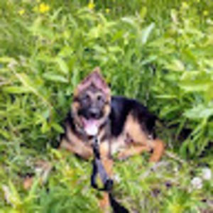 Meet your Posher, Caroline